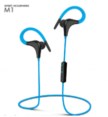M1